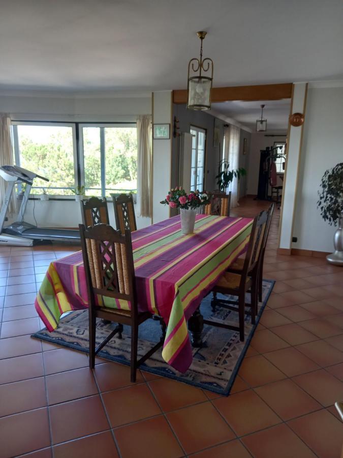 הוילה ויאנה דו קסטלו Casa Da Bela Vista מראה חיצוני תמונה